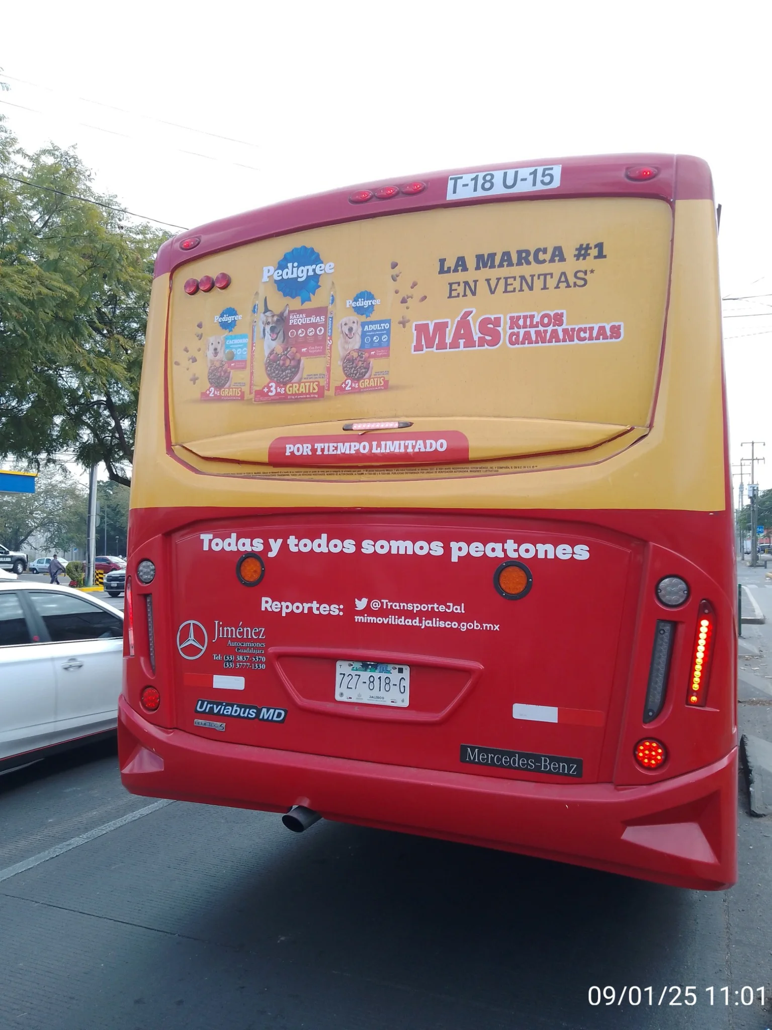 Imagen enfocando la parte trasera de un camión